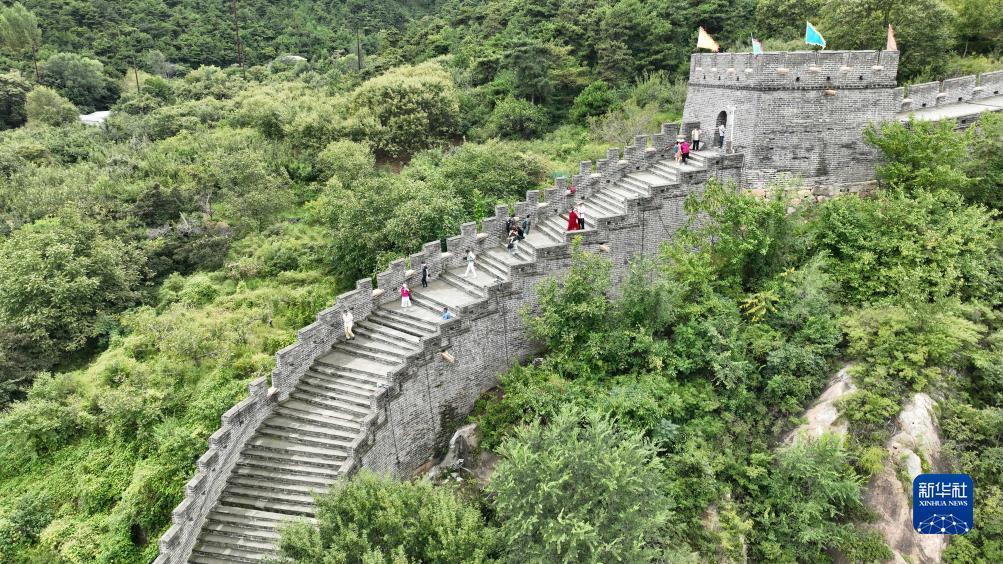 小美斗地主官网下载